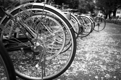 Wheels