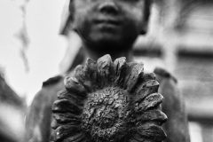 Would you like a flower?