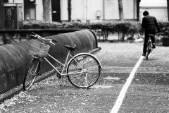 Cyclist & Bicycle