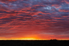 Cloudy sunrise