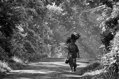 Journey