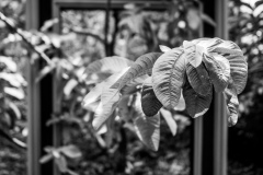 Reaching out