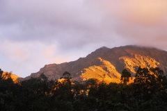 Golden sunset